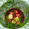 Pop-Ups & Events